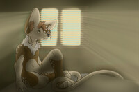 Quarantine