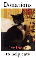 Support animal fundraising-reminder