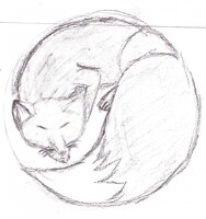 fox sketch