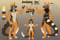 Asclepius Nightstalker Medic