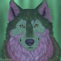 Wolf Portrait