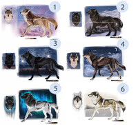 Wolf ​adopts CLOSED