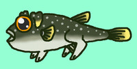 Dog fish blowfish