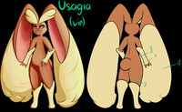 Usagia Referrence (WIP)