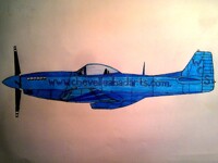 WCS Sponsored P-51D Mustang.