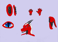 Fursuit reference 2