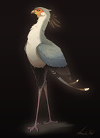 Secretarybird