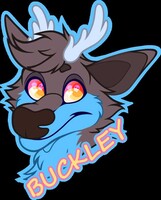 Buckley Badge 2