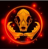 Lynx Skull