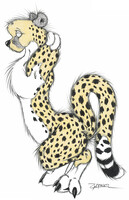 Stretchy Cat