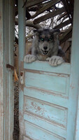 Peekin' out