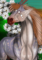 Don - YCH Commission