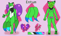 Entum Ref sheet
