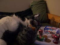 "HERE, please finish this for me!" :>