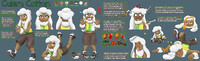 Calem Cotton Reference Sheet (SCRAPS)