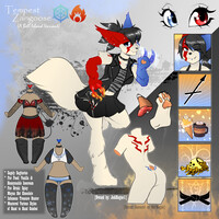 Custom Character Adopt | Tempest Zangoose