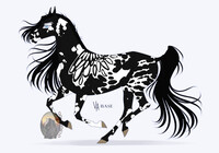 Horse adopt