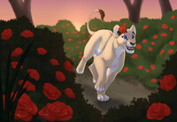 Running Through the Roses
