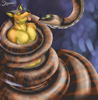 Besitius wrapping up Jake