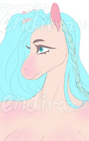 commission to endirazu
