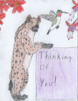 Hyena Hummingbird Greeting Card Commission