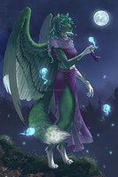 Friend of the wisps - Commission