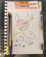 "Mirror mirror on the wall"