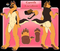 Gareth Gwydion Ref Sheet