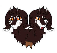 The twins