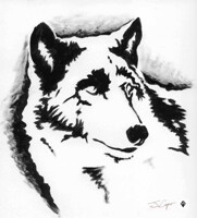 Positive and Negative 2