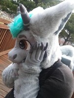 Eclipse's First Outing... Memories 7