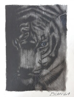 White Tiger on Charcoal