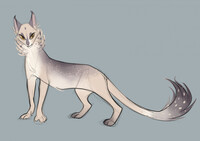 Wheatflake OC sketch