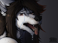 Oh Harsha, Only Yourself to Blame