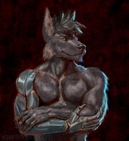 Portrait of a Wolf