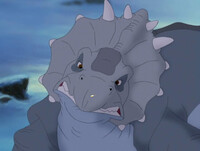 Big thicknose see micros