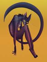 black cat for good luck