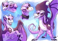 Dixie Derg Ref
