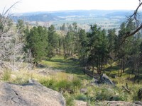 The Tower, Shot From The Base