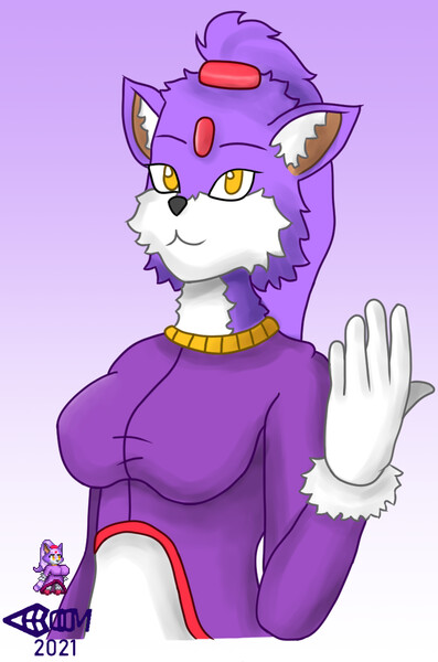 Sexy Blaze The Cat