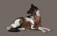 commission \\ junip3rs0ng