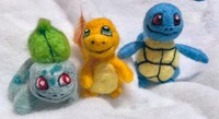 Starter set (medium)