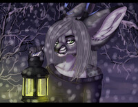 Winter forest