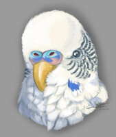 Fluff