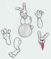 Basic Reference For Nightbon