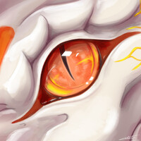 [comm] - halfway through my 20's