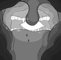 [COM] Morning Experience #3