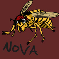 NOVA has a red bandanna and a... yellow... jacket...