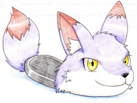 A slipper-fox with strong confidence