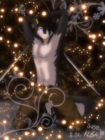 HB to Personawolf~